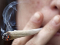 Лечение сахарного диабета коноплей